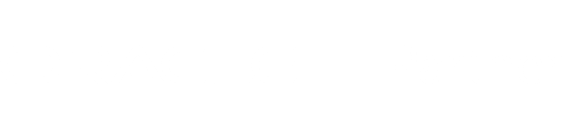 Oracle Partner